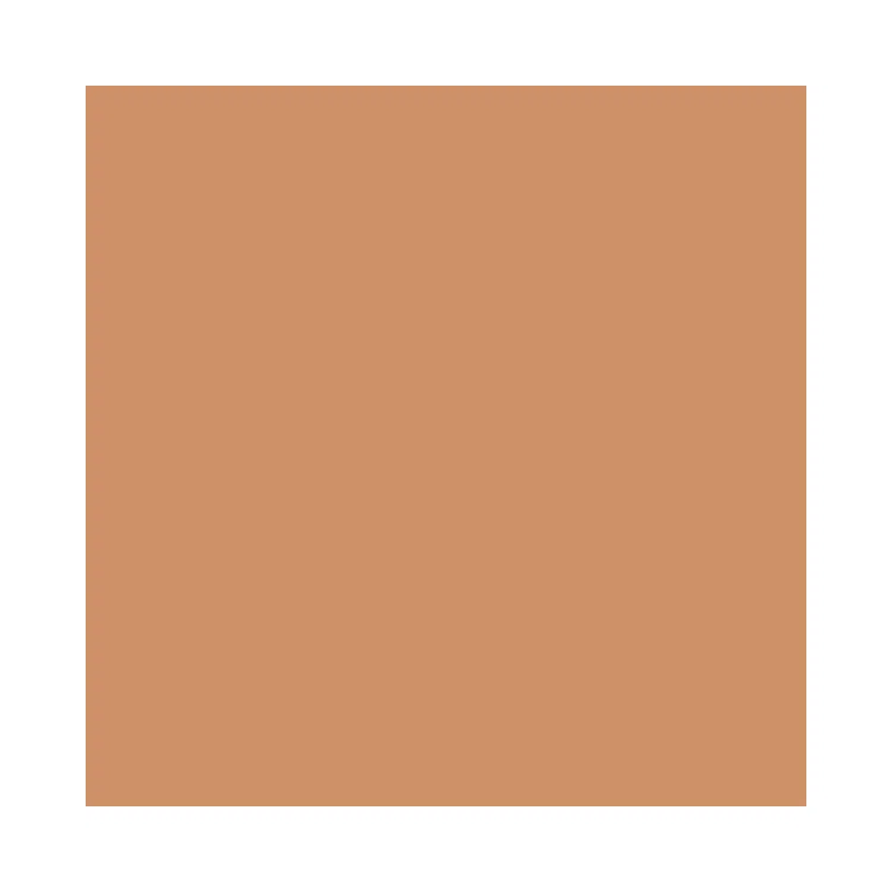 Boca Rosa Beauty by Payot Matte Foundation - 06 Juliana
